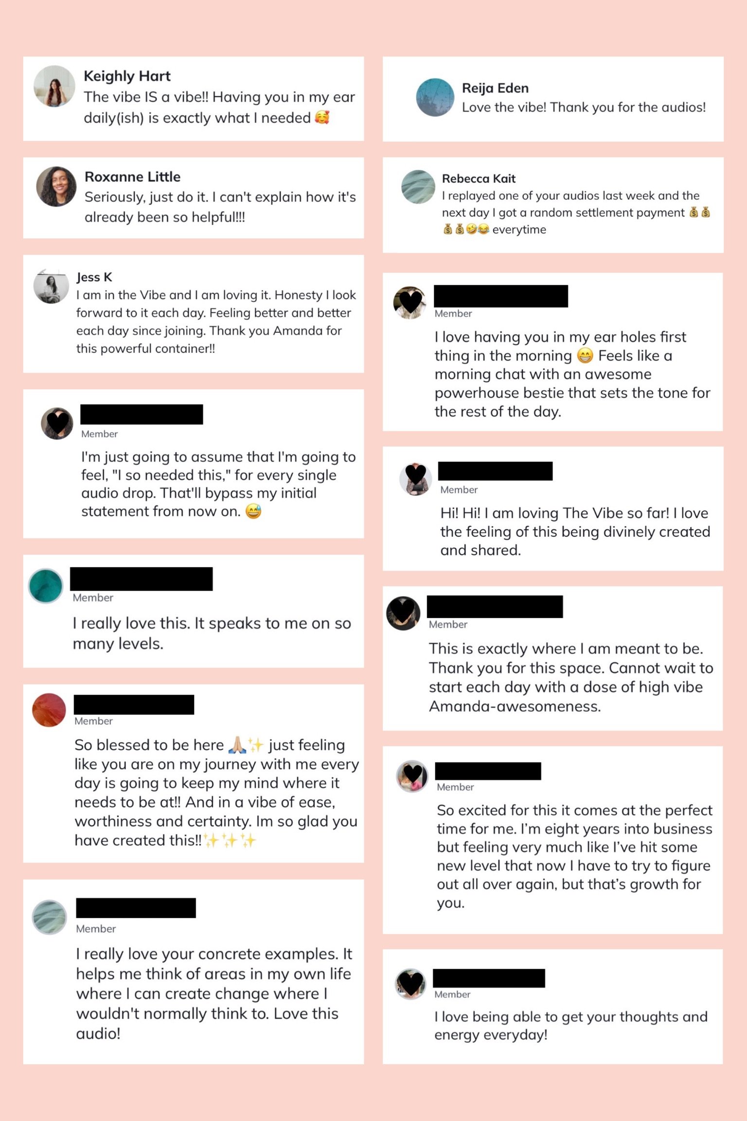 The Vibe Feedback Testimonial Collage - 1