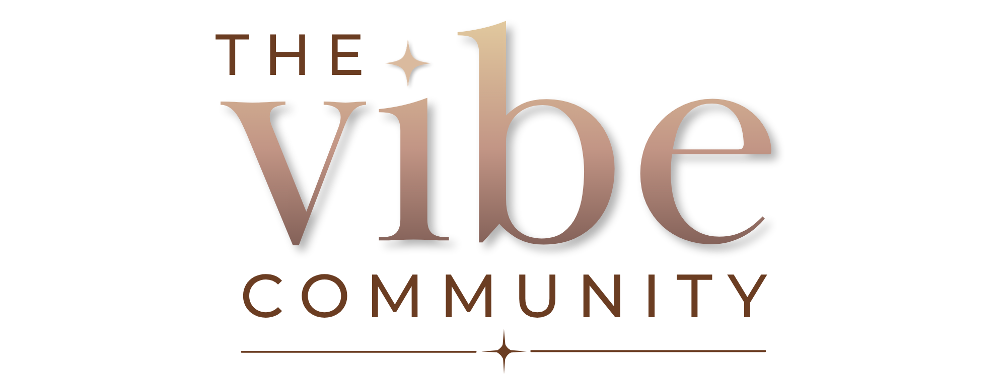 The Vibe Community